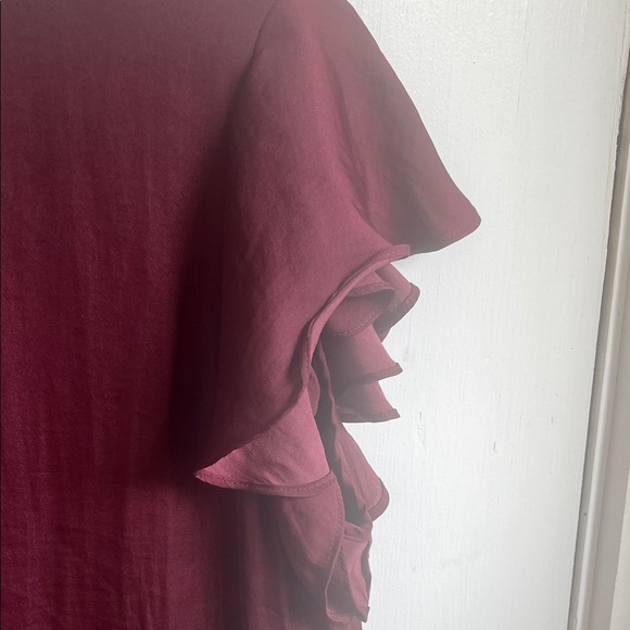 Elegant Burgundy Naked Zebra Ruffle Sleeve Dress Size Large - Picture 5 of 7